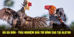 Đá gà đòn ALO789 – Trải nghiệm giải trí đỉnh cao