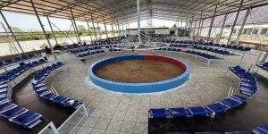 Trường gà là gì Khám phá thế giới giải trí đầy kịch tính tại Alo789