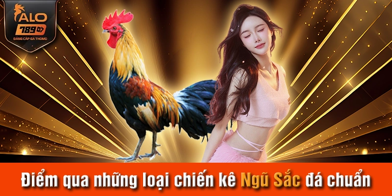 Điểm qua những loại chiến kê Ngũ Sắc đá chuẩn