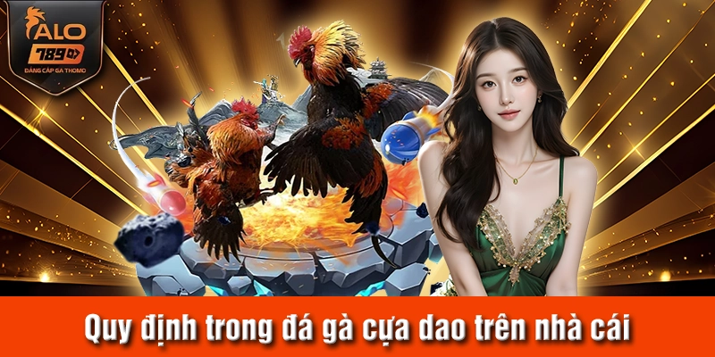Quy định trong đá gà cựa dao trên nhà cái